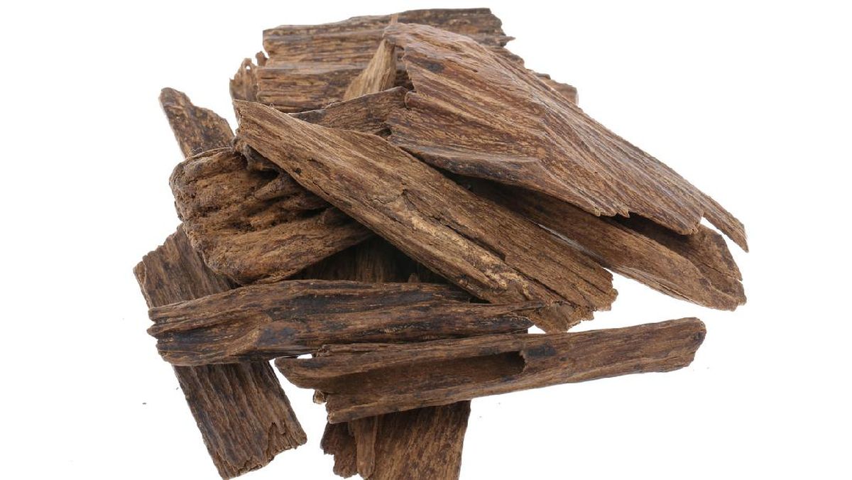 Beberapa batang kayu kering