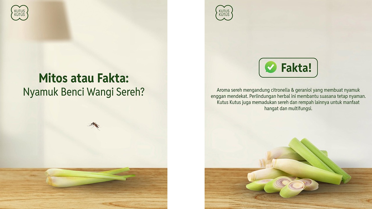 mencegah dbd dengan alami